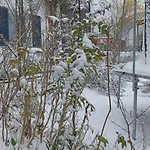 Bluewall By Interhome *